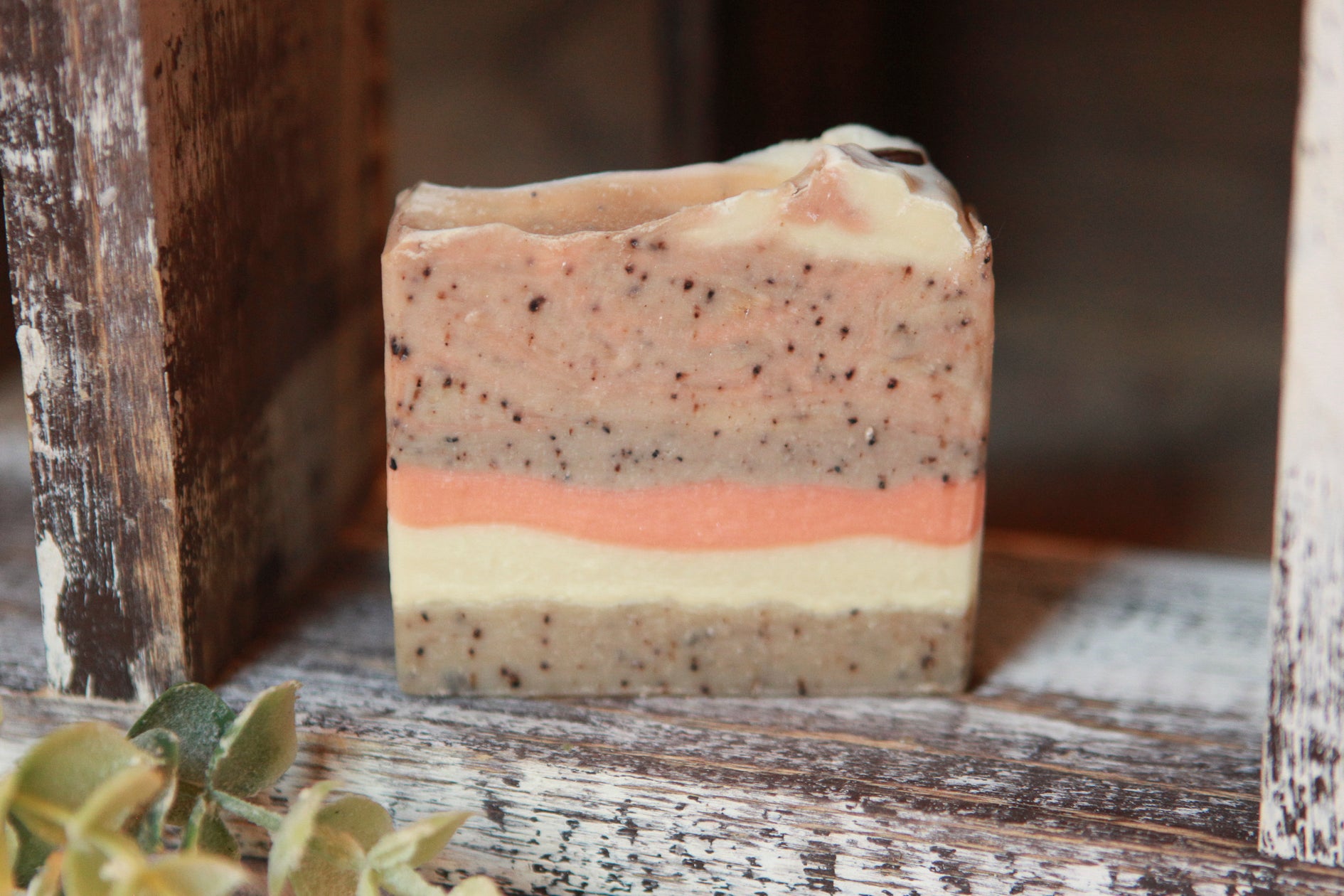 Coconut Pumpkin Latte Cold Process Soap by Faith and Grace Soap Co. 