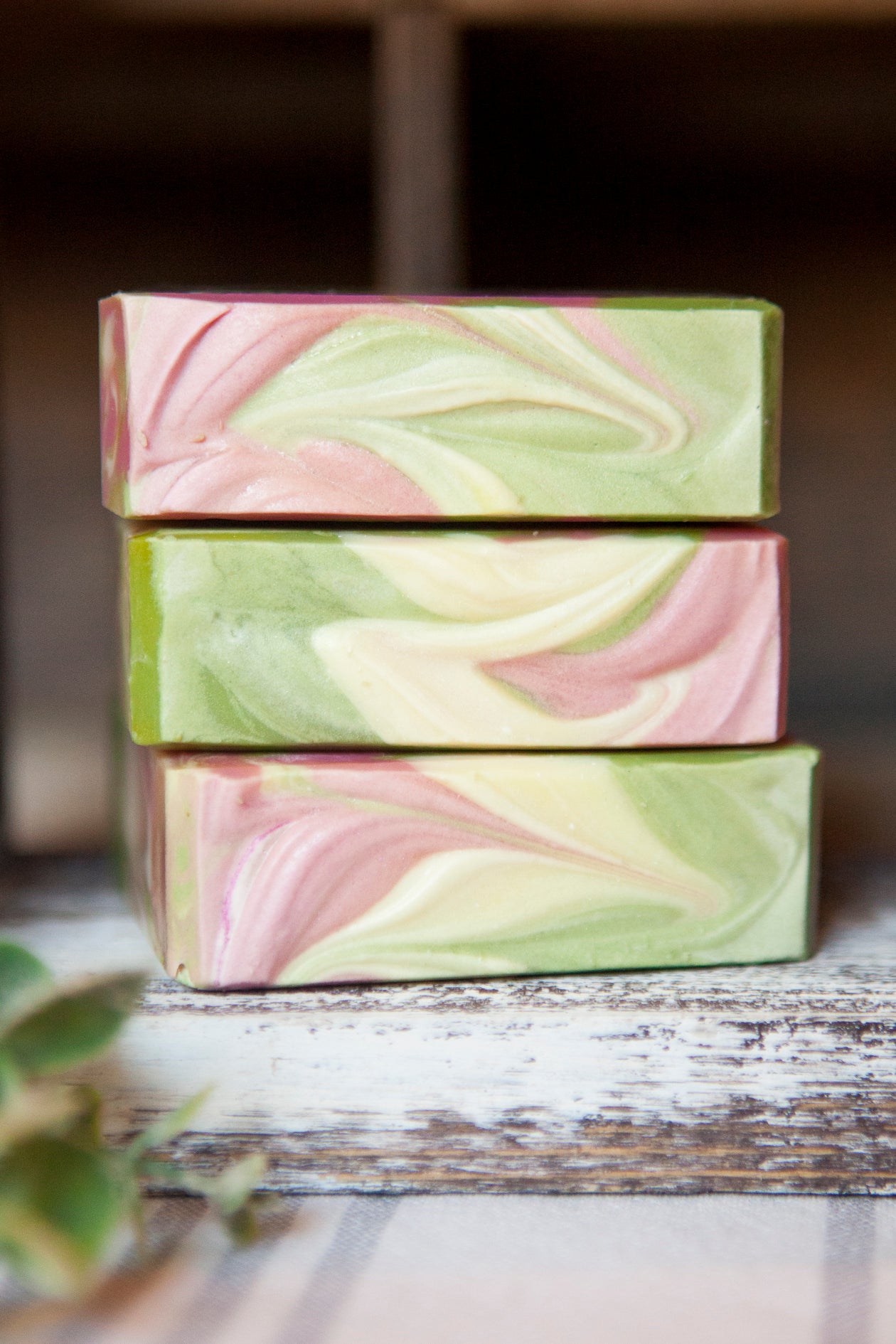 Vegas Baja Cactus Cold Process Soap by Faith and Grace Soap Co.